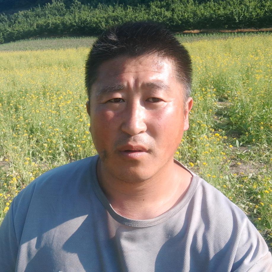 青山沟石头