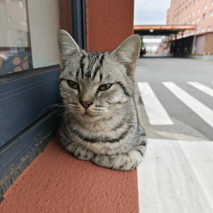 遗忘ヾ(❀╹◡╹)ﾉﾞ❀~