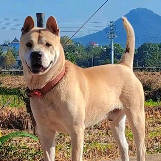 知音难寻 ！钱是毒药！