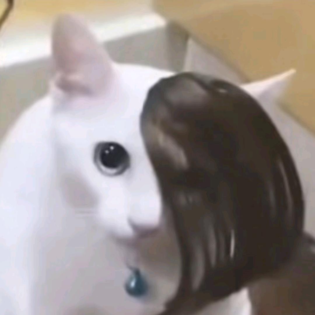 老放肆i