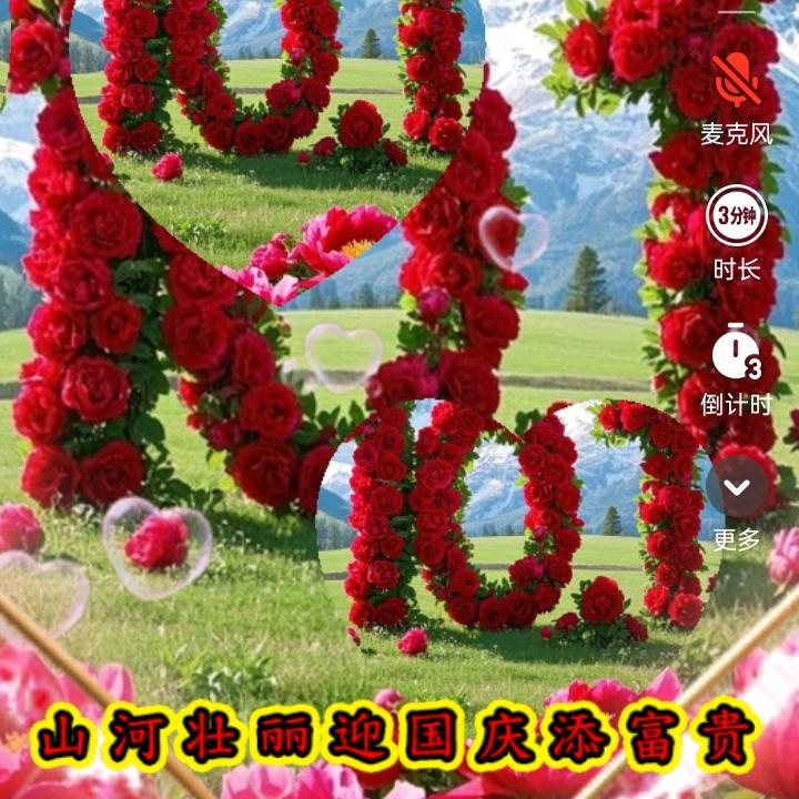 等风等雨，