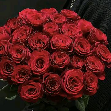玫瑰花