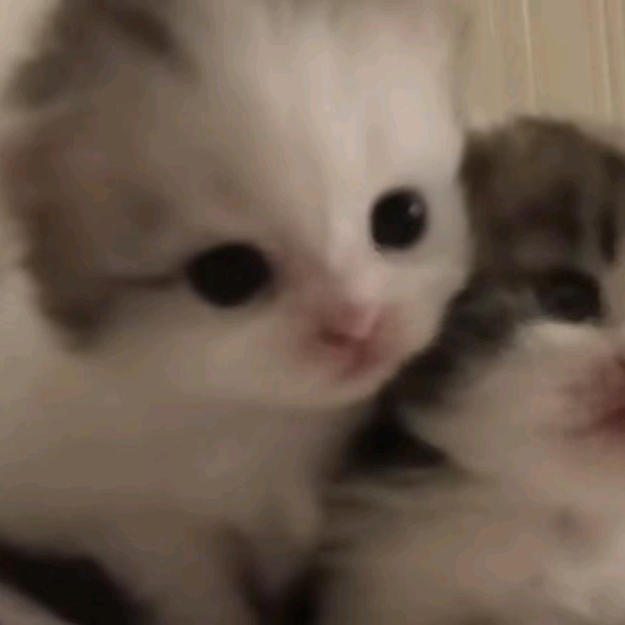 下楼买煎饼果子