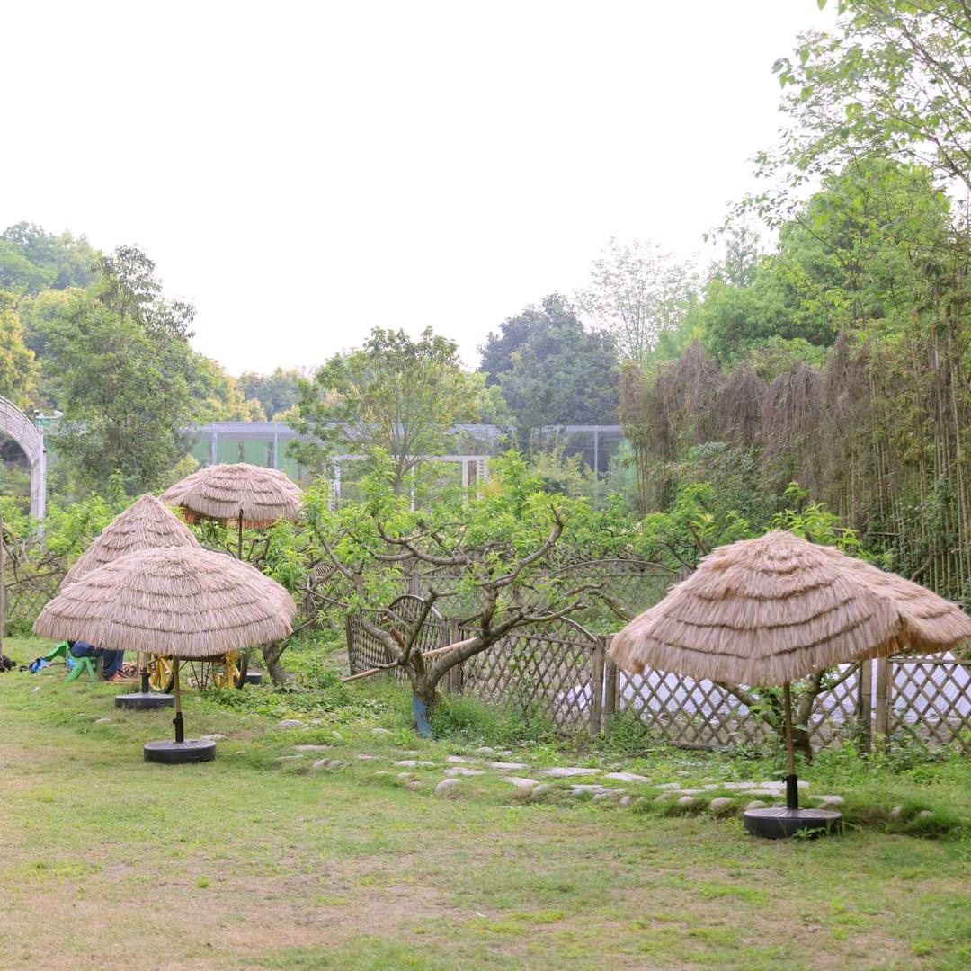 浅灼（连赞拉黑）