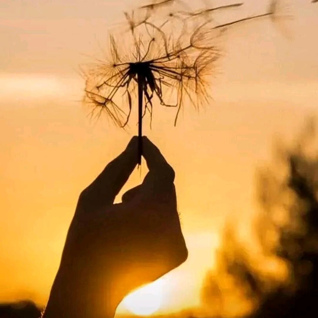 Origin predestined r