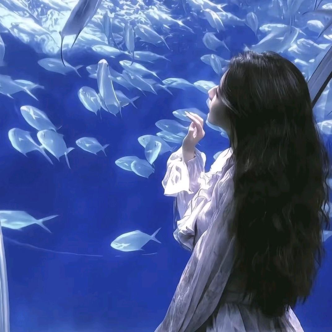 浅