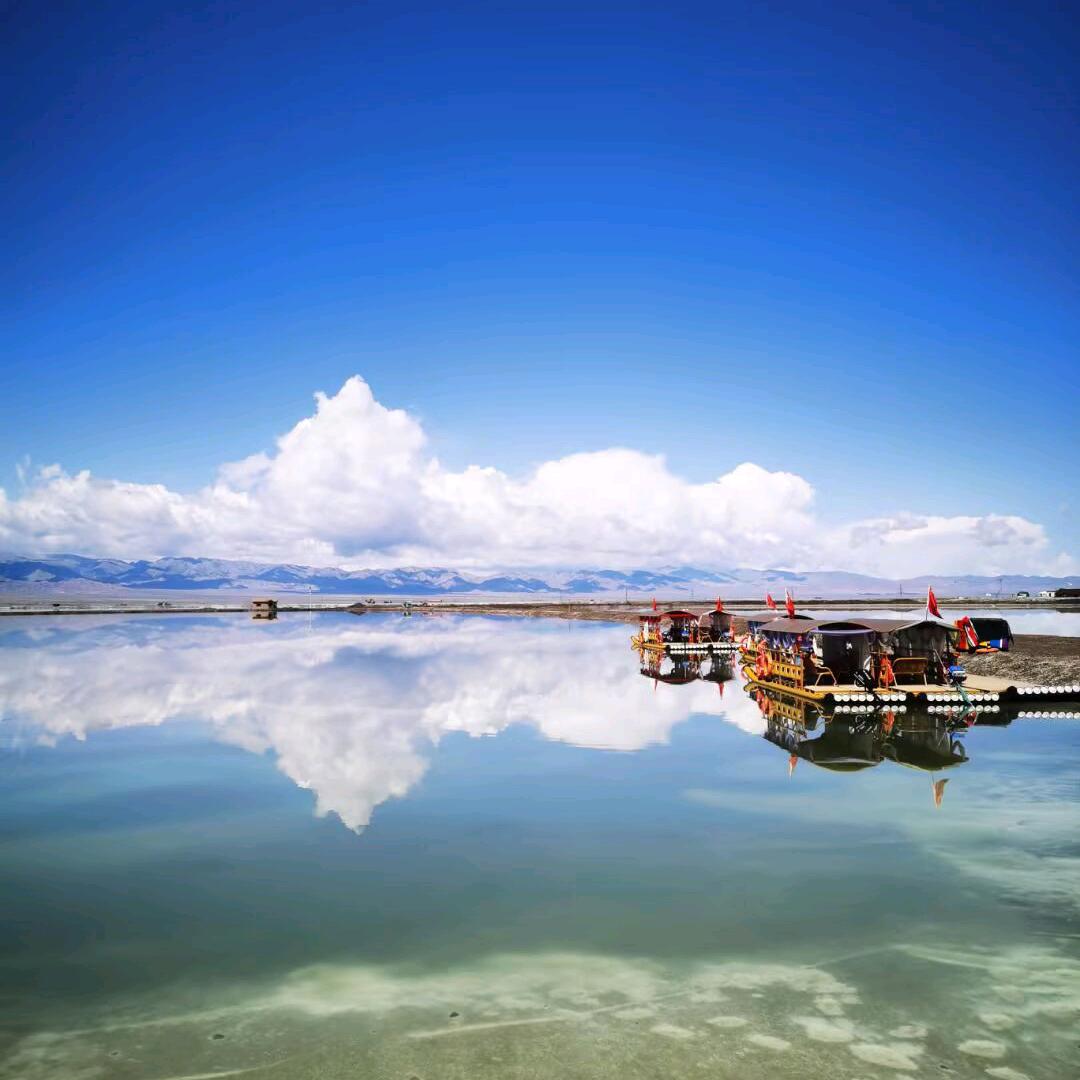 花花（拒绝私聊）