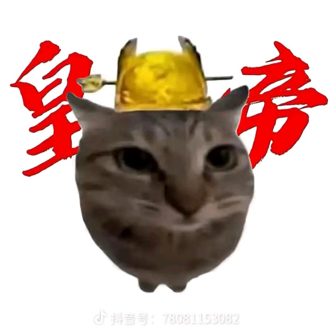 曲奇烤鸭