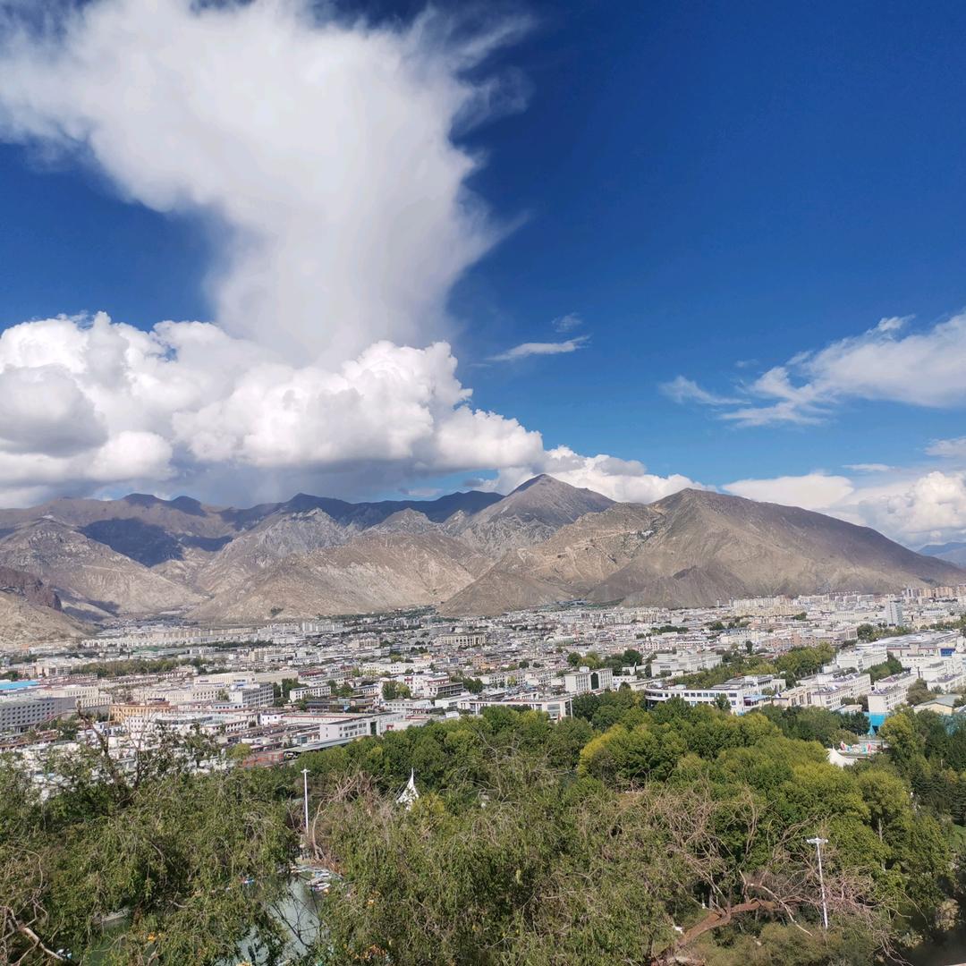 南充智引人工智能科技有限公司