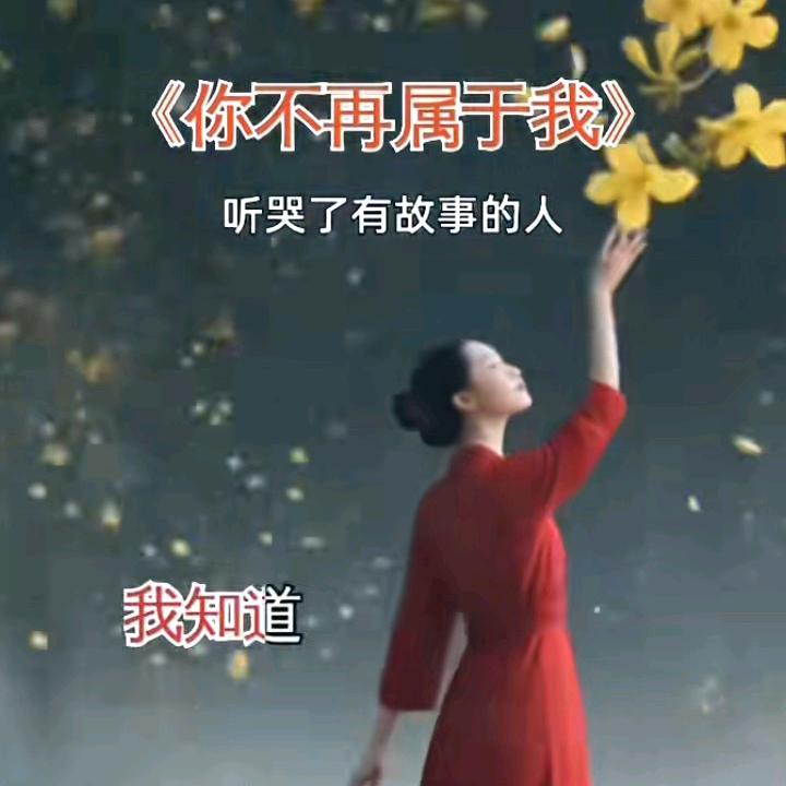 成哥首播筹备中