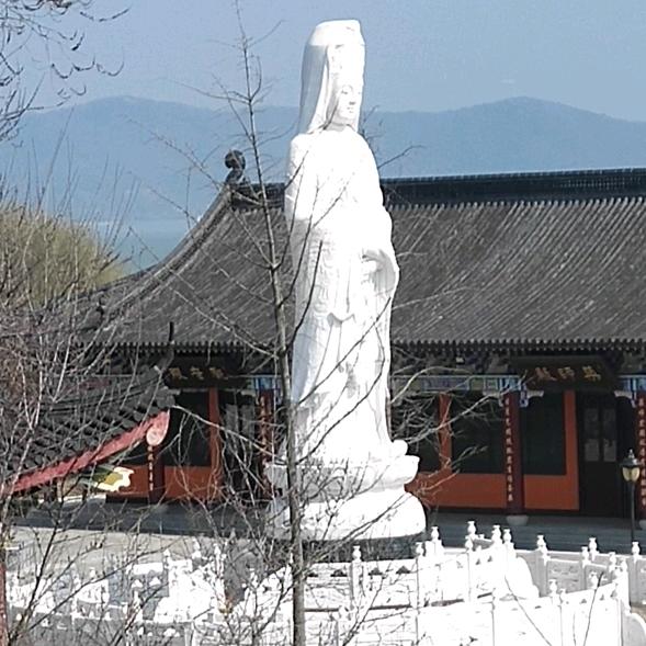 开了个心