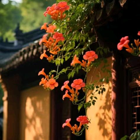 千禾老师说健康