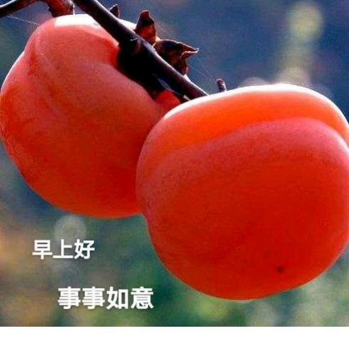 一叶知秋🍁