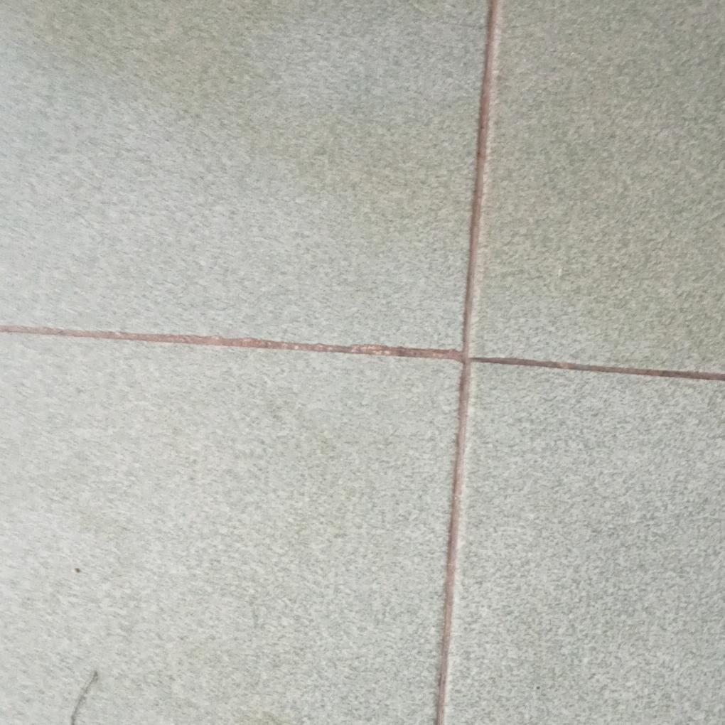 必珍