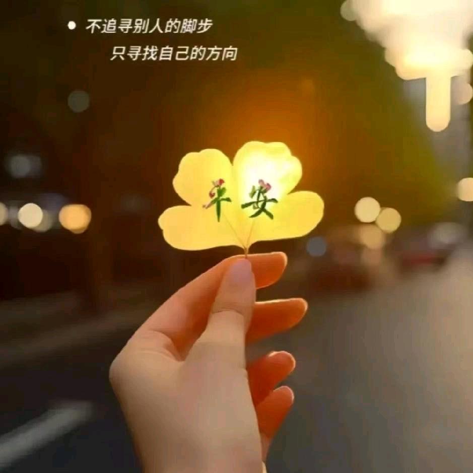 心灵🌸向阳