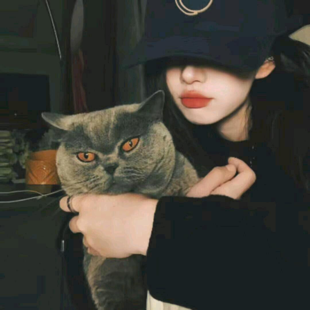 心贝_