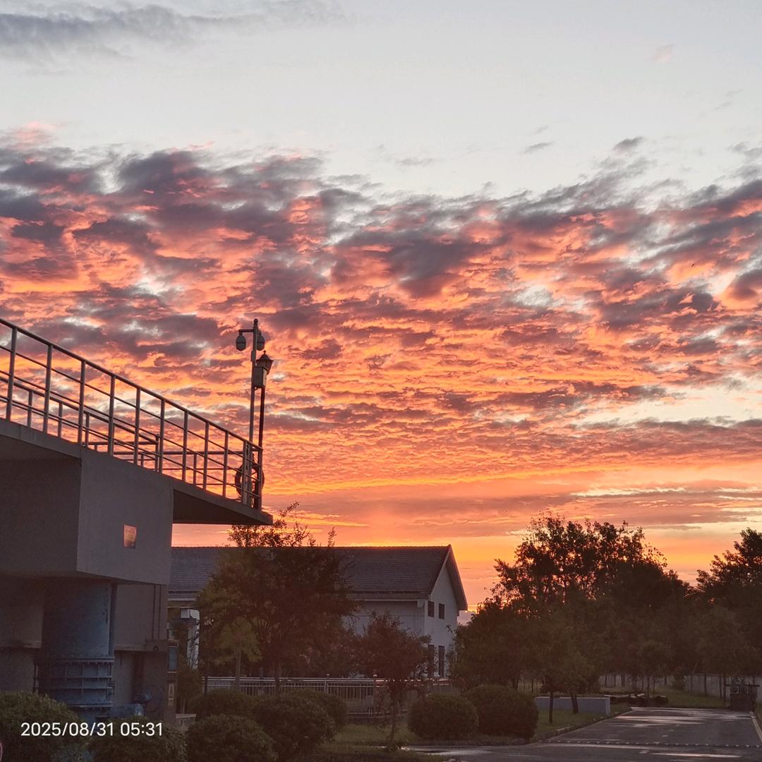 最熟悉的陌生人