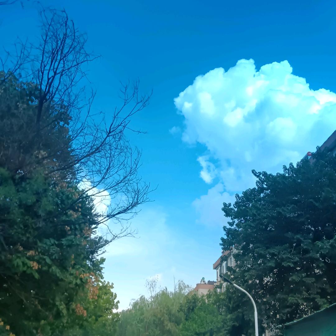 清心