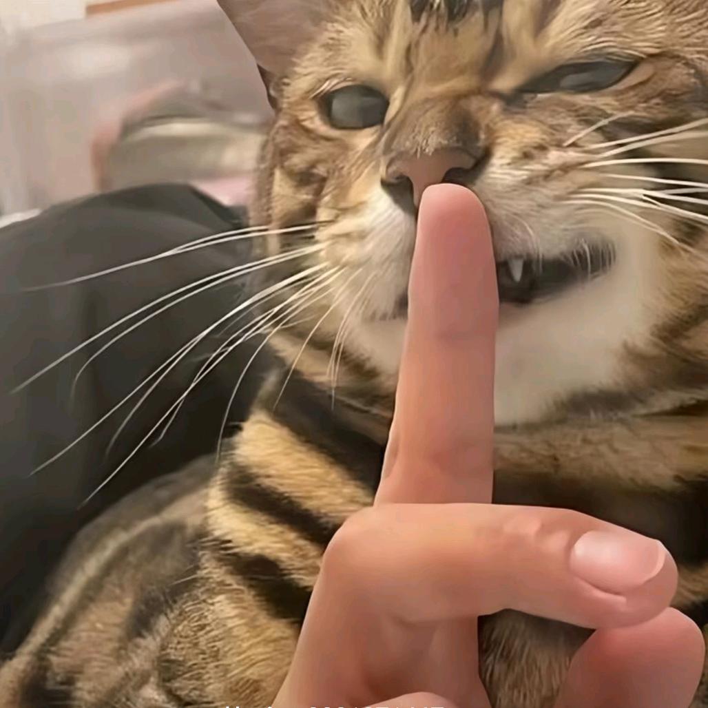 困啊