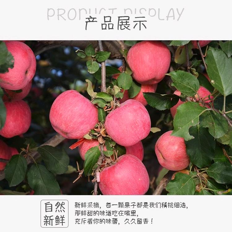 辽宁果色美小龙农民电商