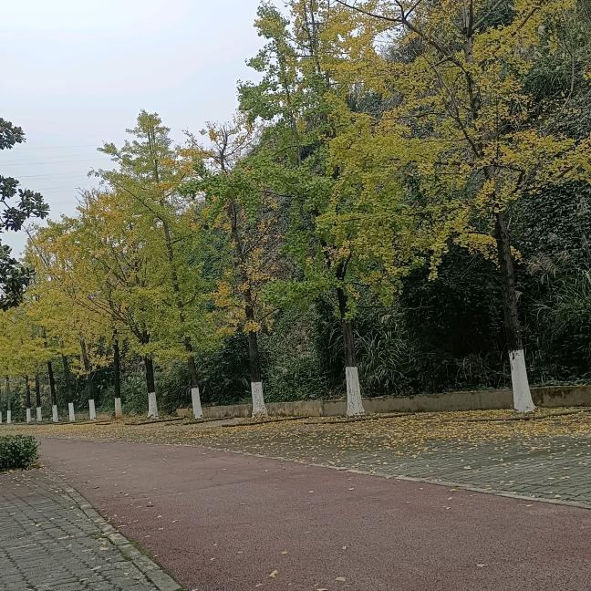 红颜