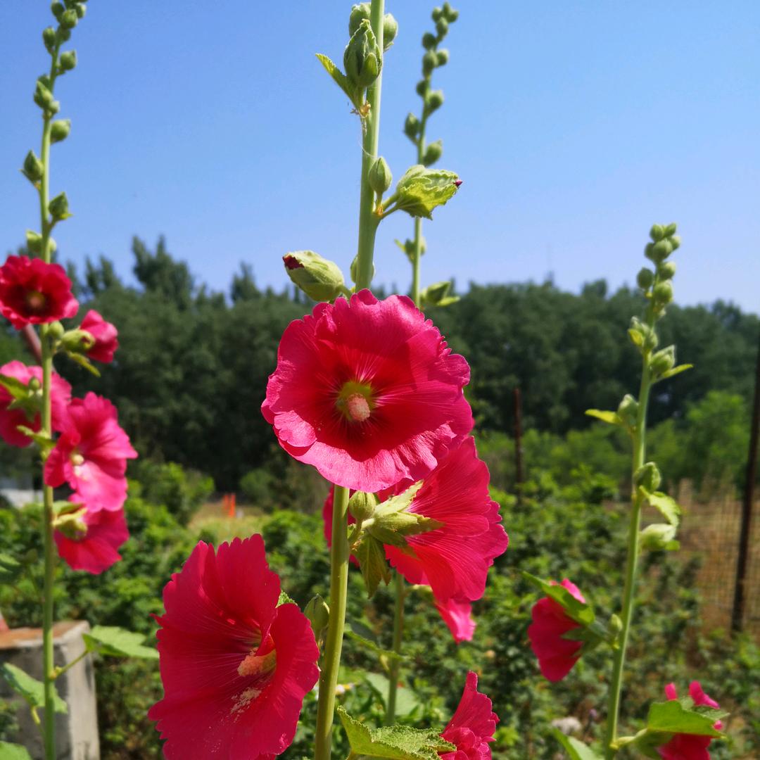 雅迪电动车(交通局店)
