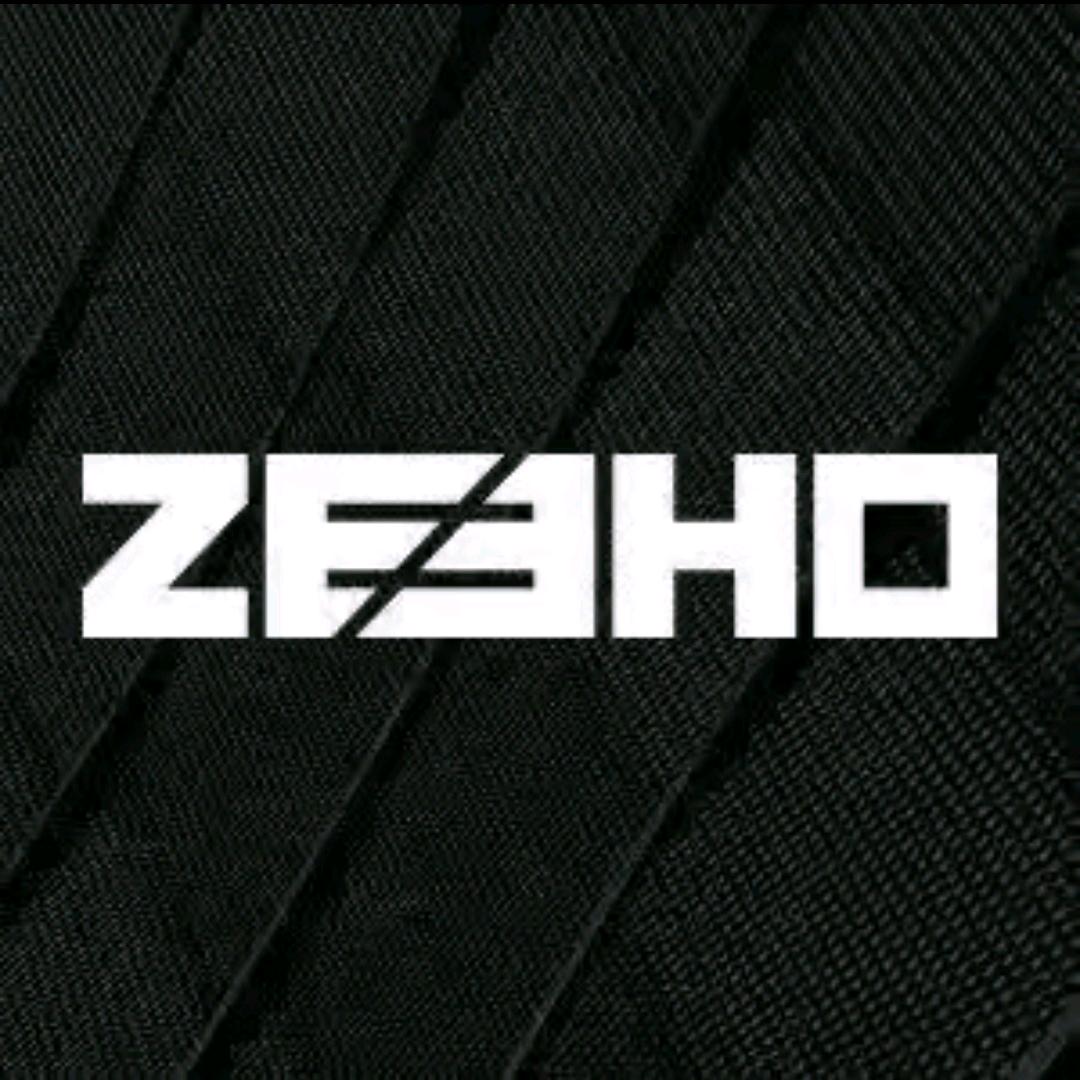 ZEEHO极核电动(长沙车站南路店)