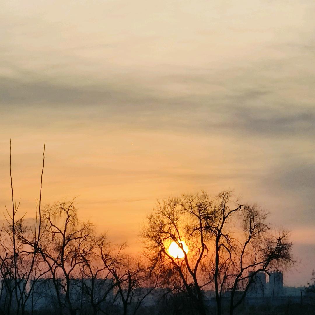 夜梦终有清醒时