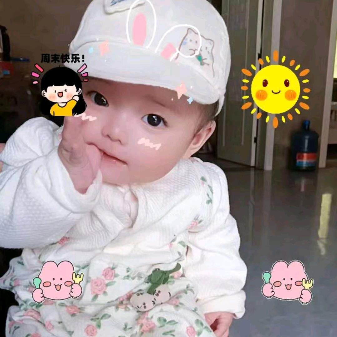一年四季收购小竹子，🐰