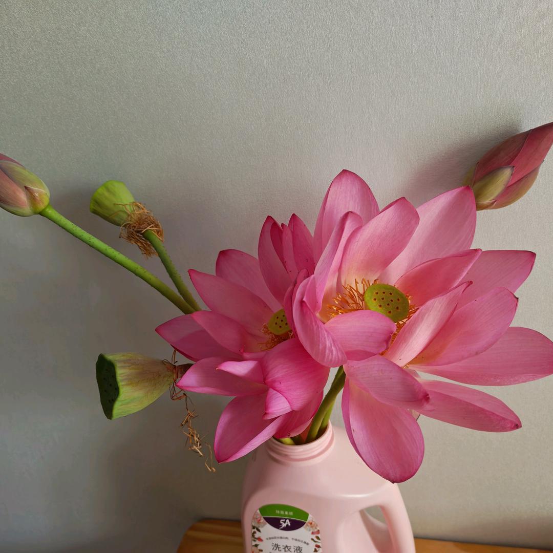 洛克