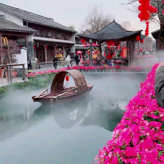 诚心诚意🐍