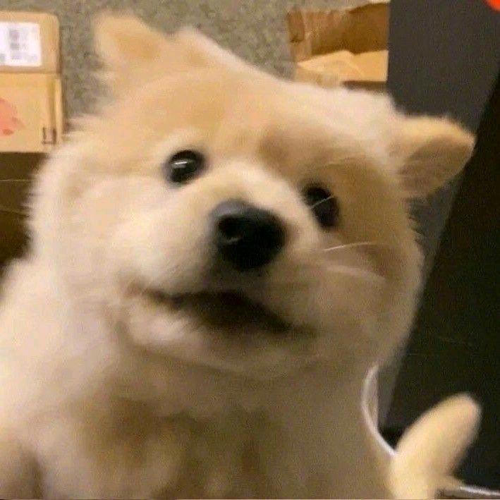 若幽