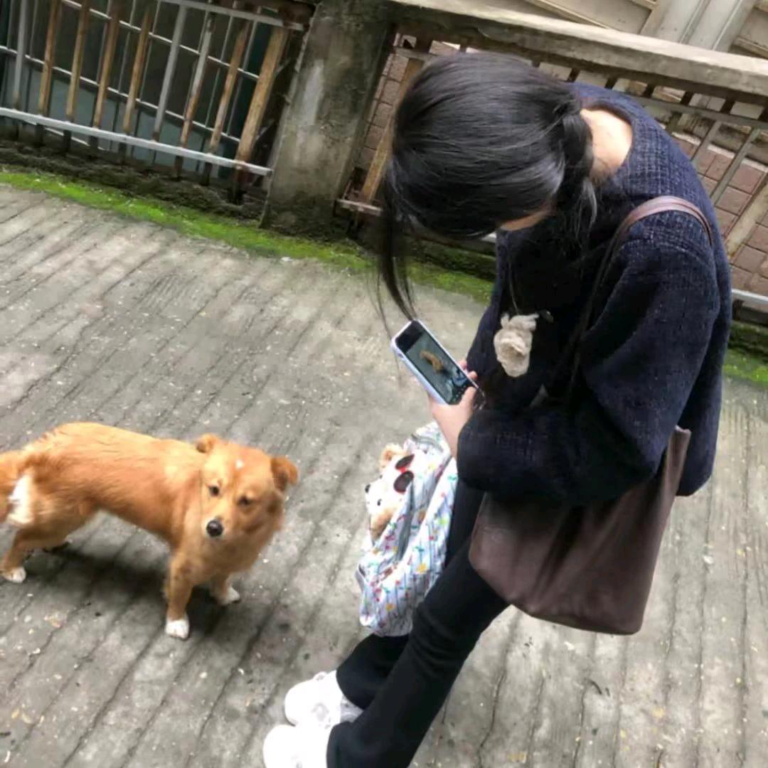 雨港