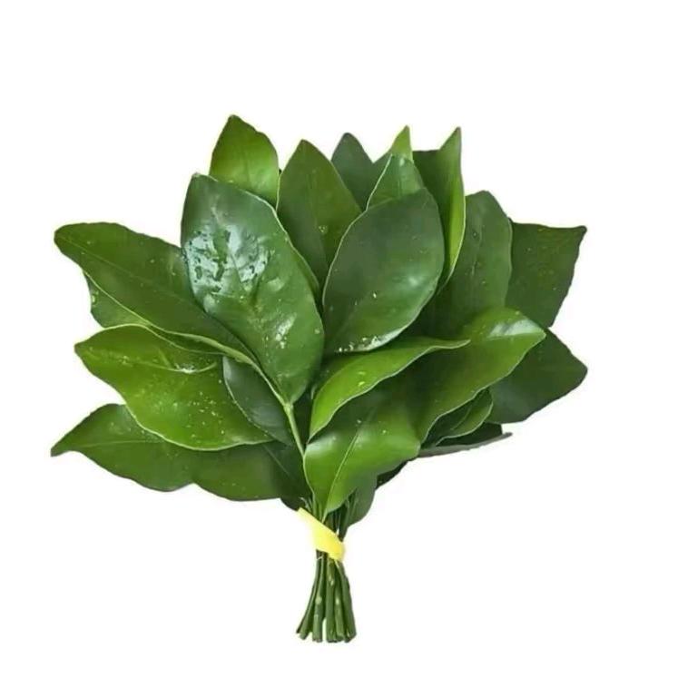 小米粥