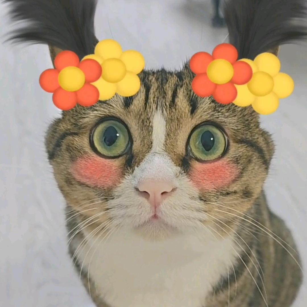 王大花～