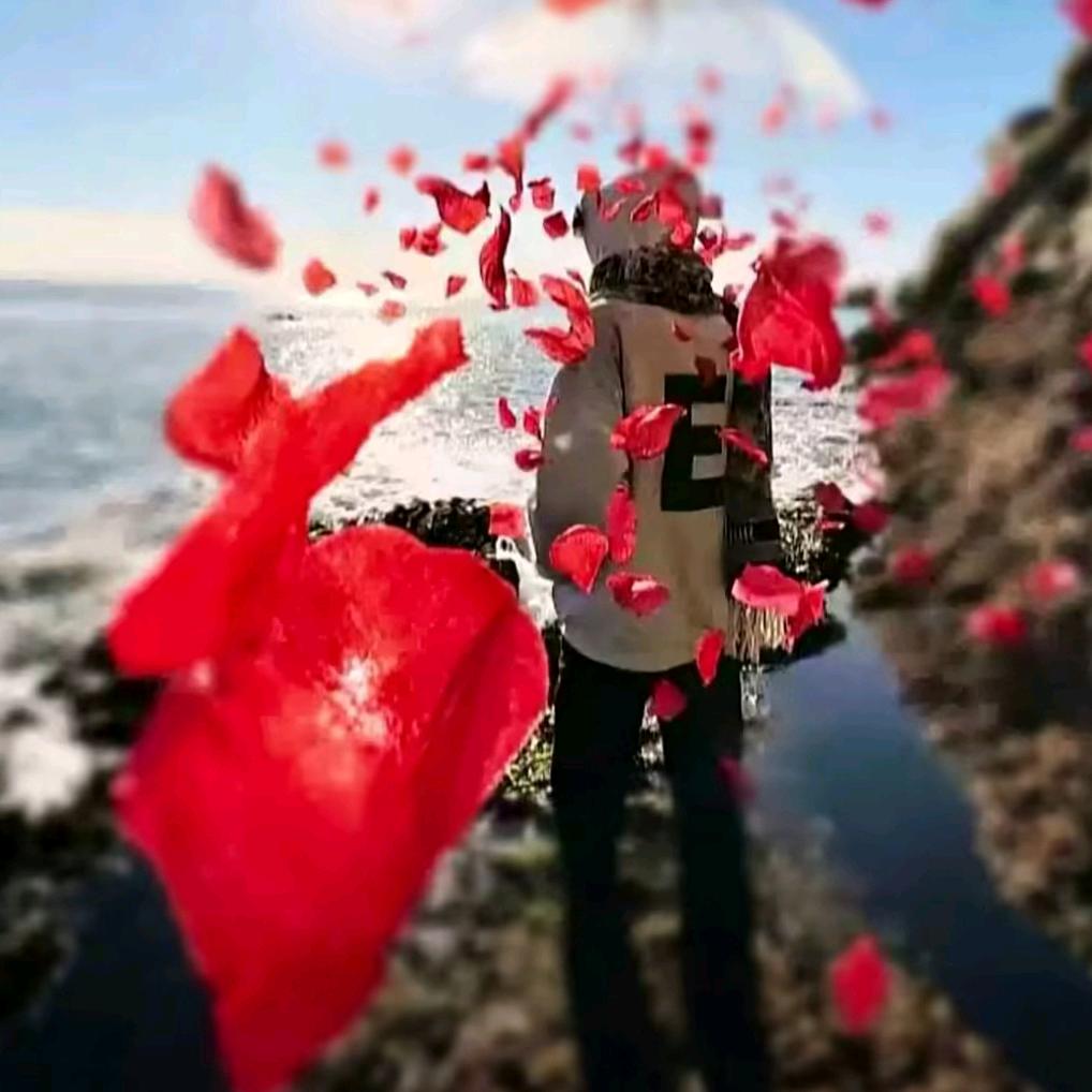 冰航👺