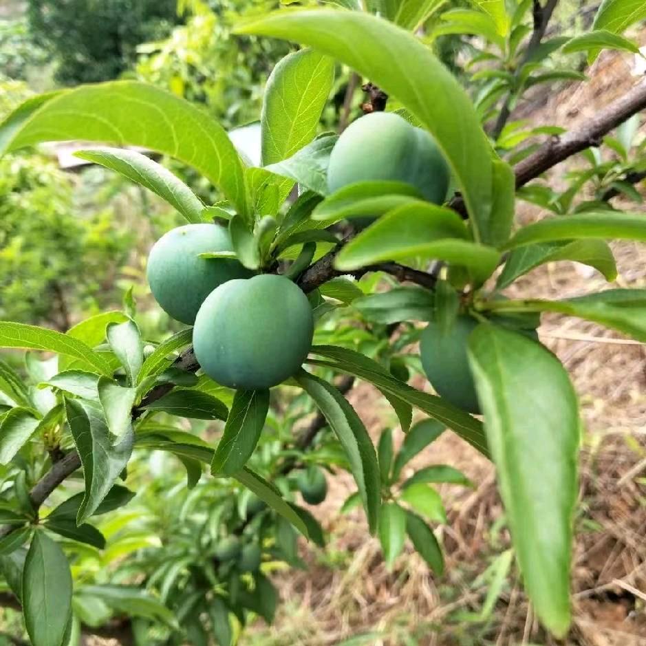 电脑维修 旧手机回收