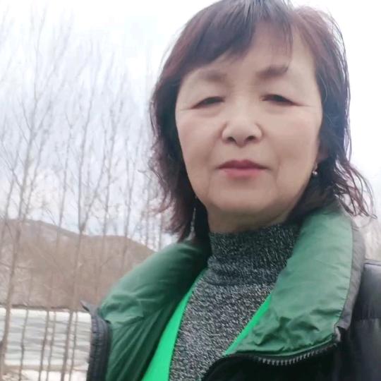 萍