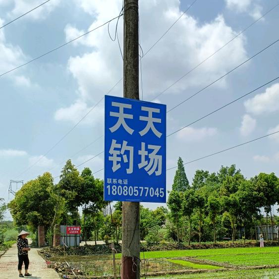 东坡区天天钓场