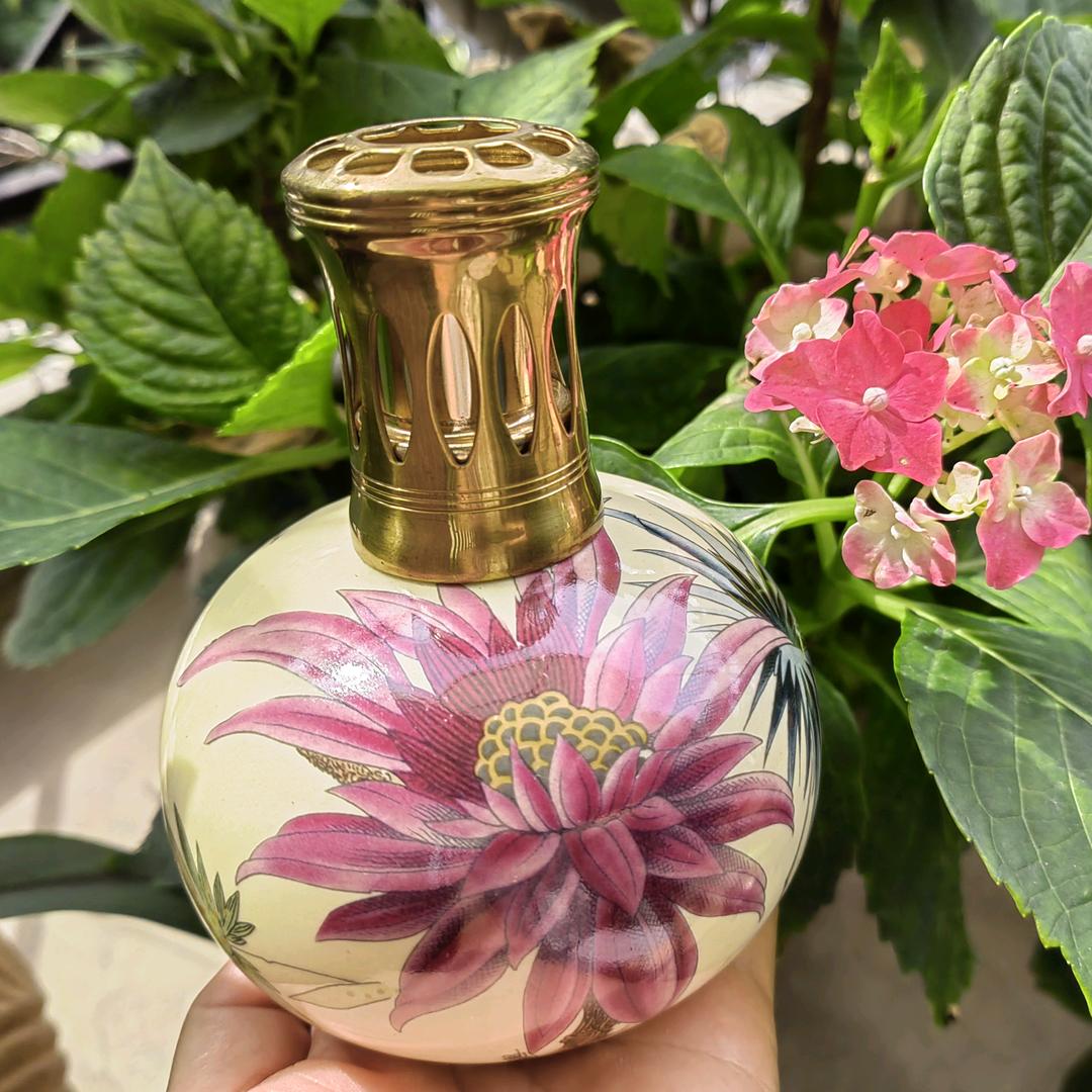 卡卡的伯格中古小铺