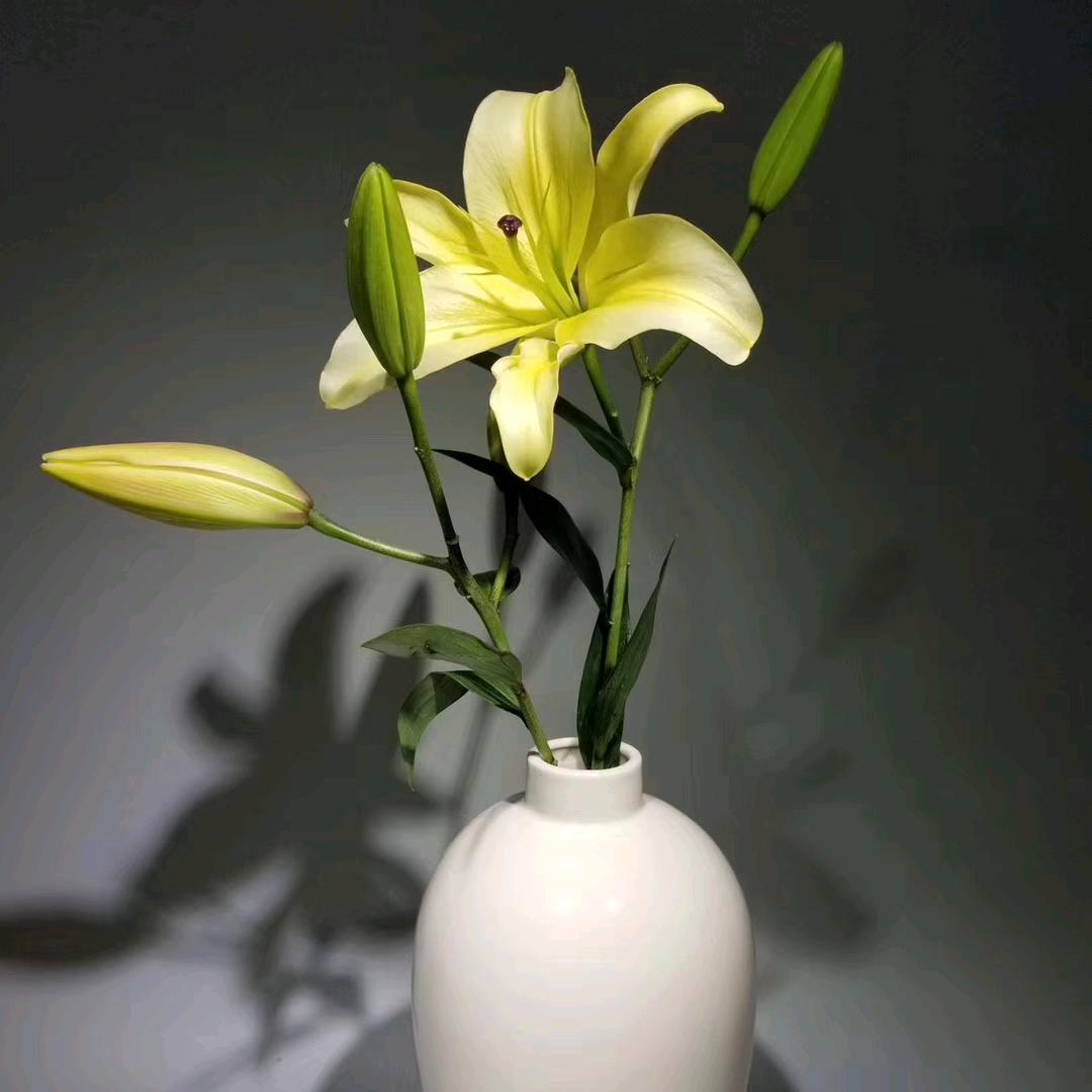 Whj