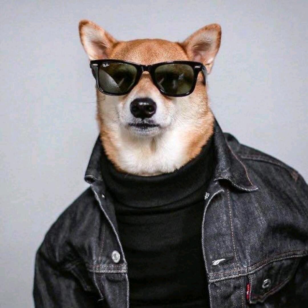 鹜