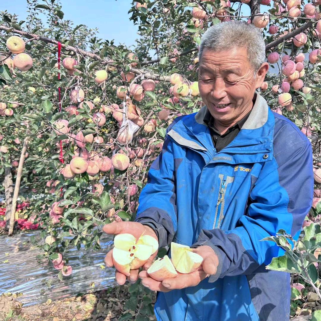 苹果大叔