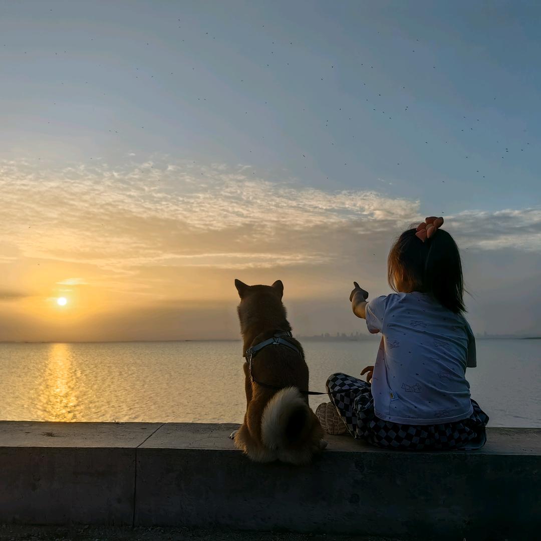 泡泡麻麻