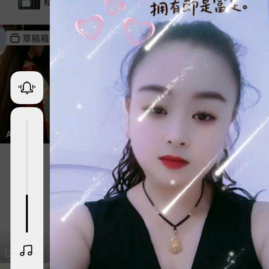 单只蝴蝶