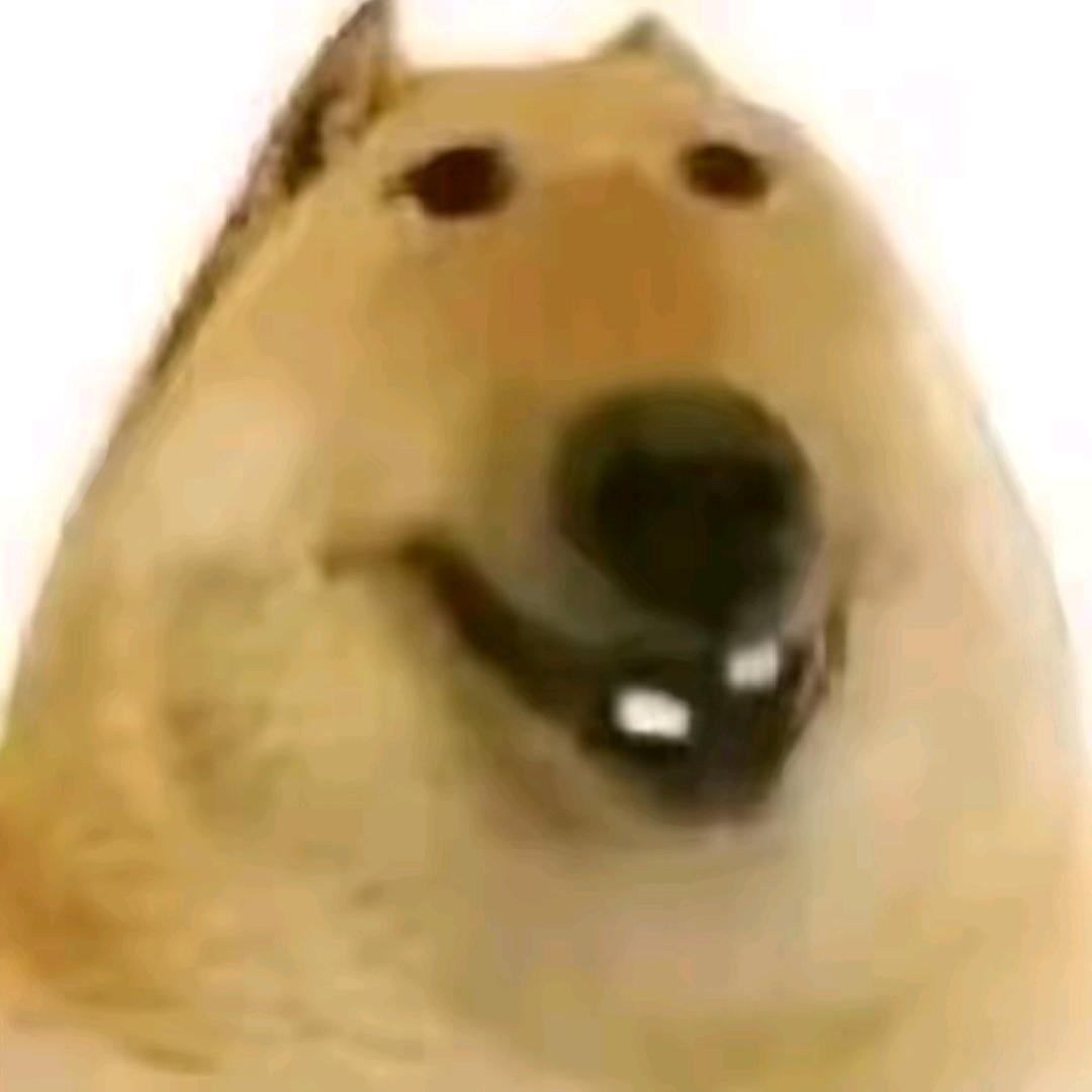 折苇