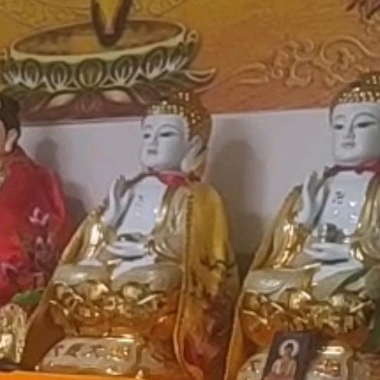 一车一世界
