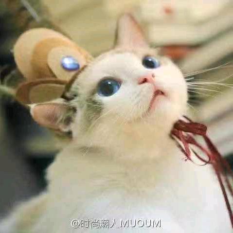有“你”真好