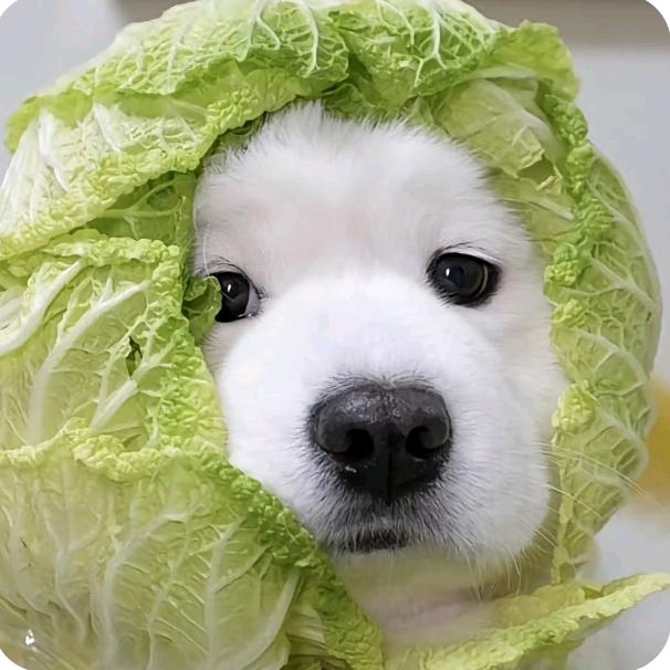 三分诚七分帅'🏸