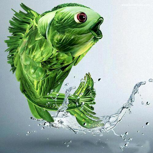 光头🐟
